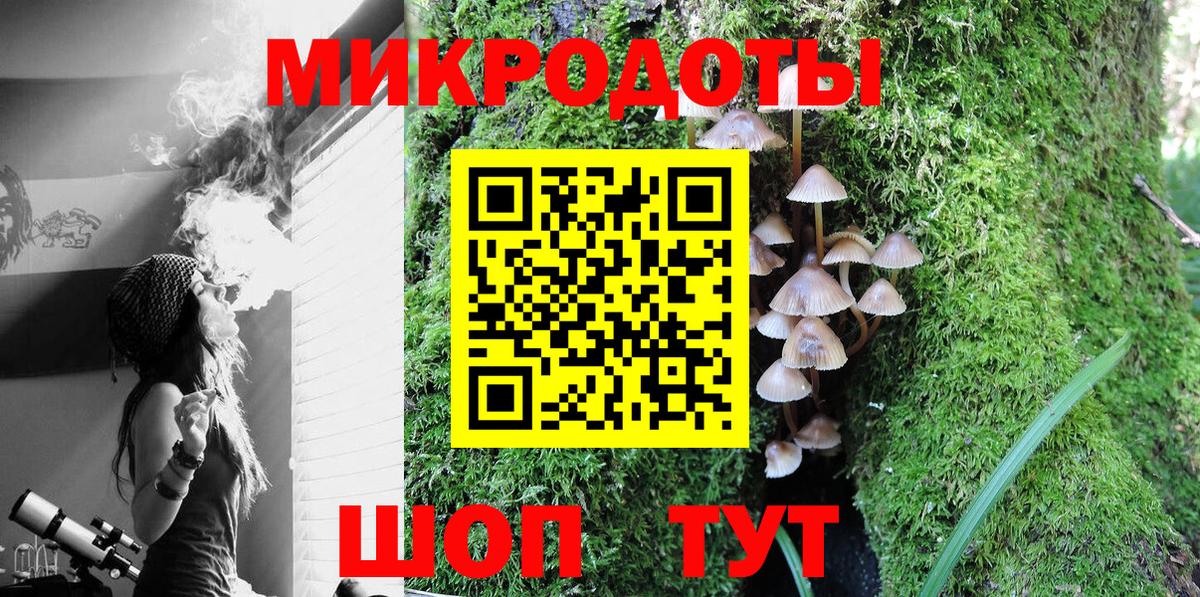 Псилоцибиновые грибы GOLDEN TEACHER  Вход с VPN  Белгород 