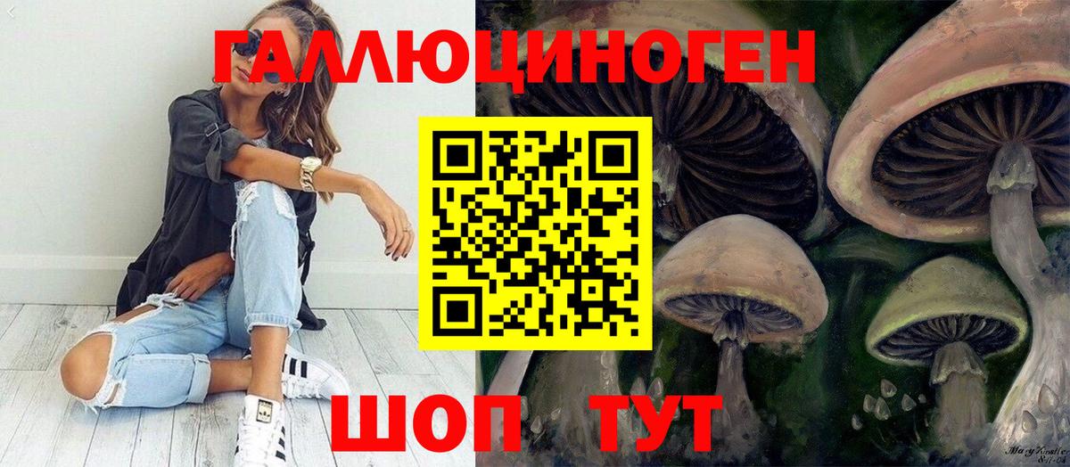 Галлюциногенные грибы Psilocybe Белгород